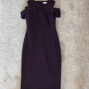 CALVIN KLEIN WOMEN’S DRESS